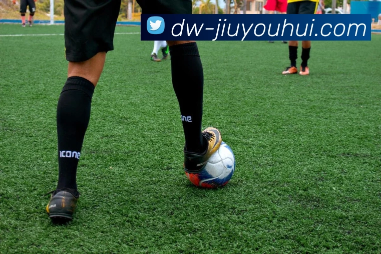 九游会J9官网平台生态图